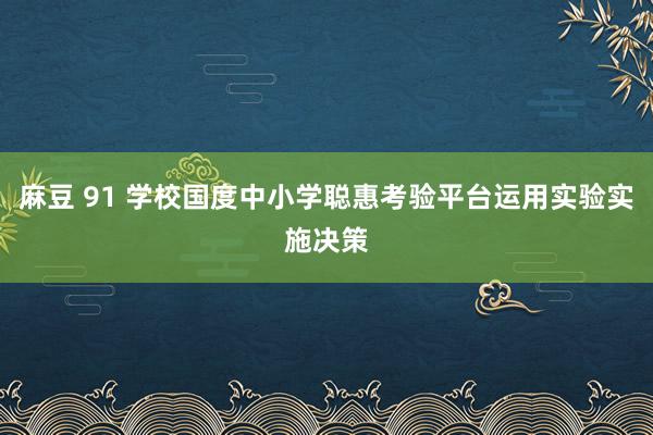 麻豆 91 学校国度中小学聪惠考验平台运用实验实施决策