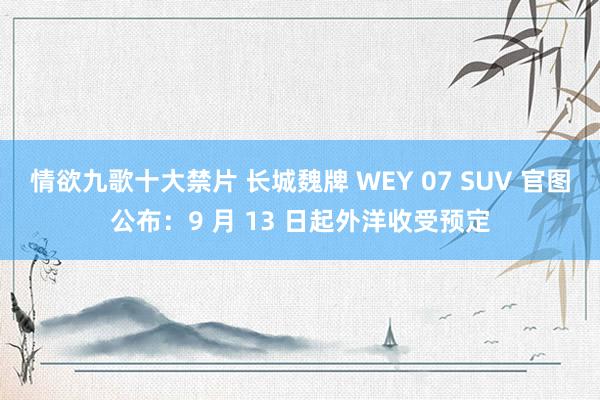 情欲九歌十大禁片 长城魏牌 WEY 07 SUV 官图公布：9 月 13 日起外洋收受预定