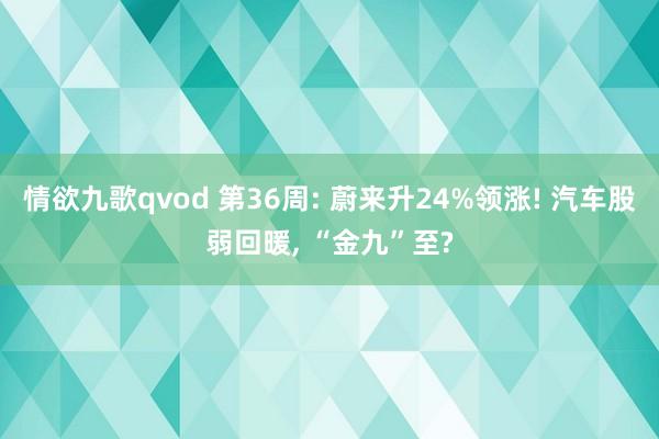 情欲九歌qvod 第36周: 蔚来升24%领涨! 汽车股弱回暖， “金九”至?