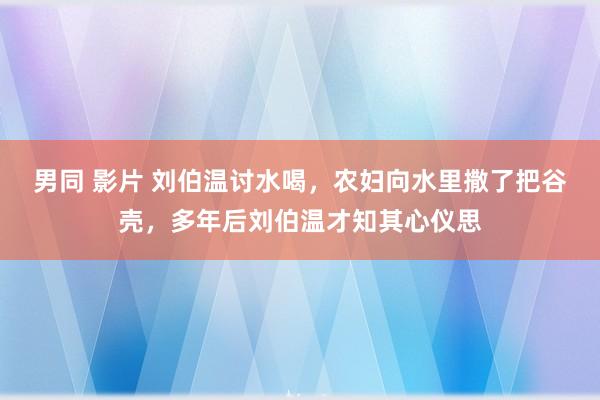 男同 影片 刘伯温讨水喝，农妇向水里撒了把谷壳，多年后刘伯温才知其心仪思