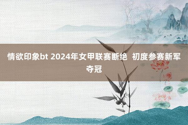 情欲印象bt 2024年女甲联赛断绝  初度参赛新军夺冠