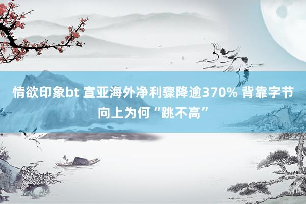 情欲印象bt 宣亚海外净利骤降逾370% 背靠字节向上为何“跳不高”