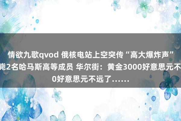 情欲九歌qvod 俄核电站上空突传“高大爆炸声”！以军击毙2名哈马斯高等成员 华尔街：黄金3000好意思元不远了……