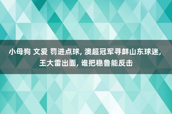 小母狗 文爱 罚进点球， 澳超冠军寻衅山东球迷， 王大雷出面， 谁把稳鲁能反击