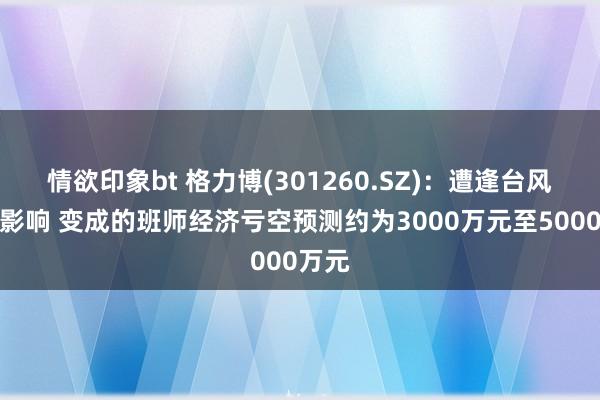 情欲印象bt 格力博(301260.SZ)：遭逢台风灾害影响 变成的班师经济亏空预测约为3000万元至5000万元