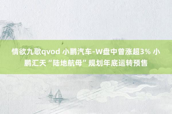 情欲九歌qvod 小鹏汽车-W盘中曾涨超3% 小鹏汇天“陆地航母”规划年底运转预售