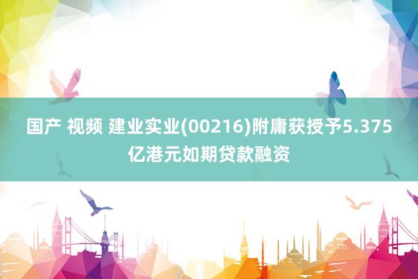 国产 视频 建业实业(00216)附庸获授予5.375亿港元如期贷款融资