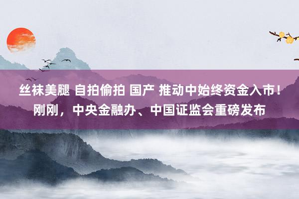 丝袜美腿 自拍偷拍 国产 推动中始终资金入市！刚刚，中央金融办、中国证监会重磅发布