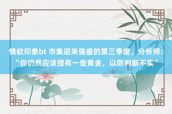 情欲印象bt 市集迎来强盛的第三季度，分析师：“你仍然应该捏有一些黄金，以防判断不实”