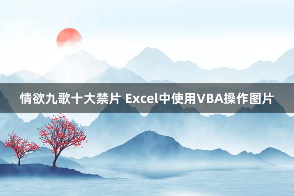 情欲九歌十大禁片 Excel中使用VBA操作图片