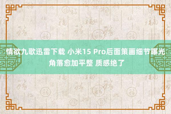 情欲九歌迅雷下载 小米15 Pro后面策画细节曝光 角落愈加平整 质感绝了