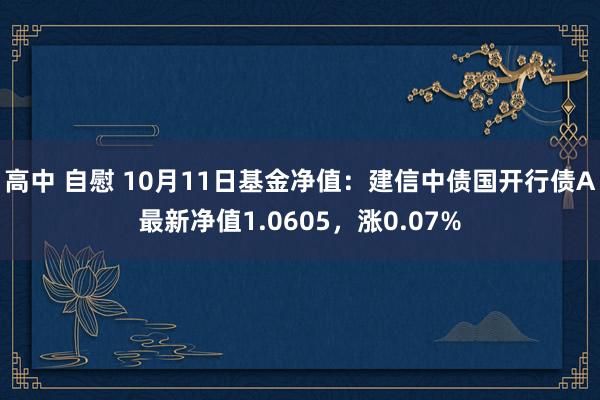 高中 自慰 10月11日基金净值：建信中债国开行债A最新净值1.0605，涨0.07%