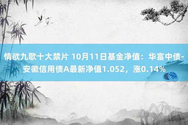 情欲九歌十大禁片 10月11日基金净值：华富中债-安徽信用债A最新净值1.052，涨0.14%