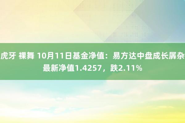 虎牙 裸舞 10月11日基金净值：易方达中盘成长羼杂最新净值1.4257，跌2.11%