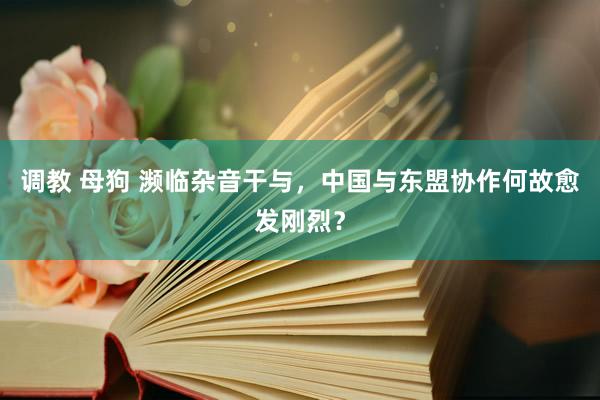 调教 母狗 濒临杂音干与，中国与东盟协作何故愈发刚烈？