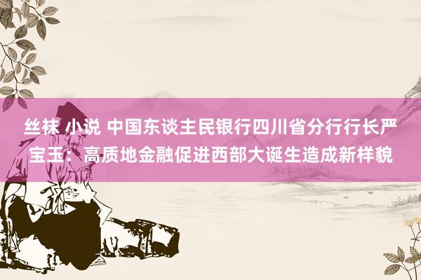 丝袜 小说 中国东谈主民银行四川省分行行长严宝玉：高质地金融促进西部大诞生造成新样貌