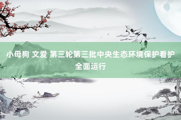 小母狗 文爱 第三轮第三批中央生态环境保护看护全面运行