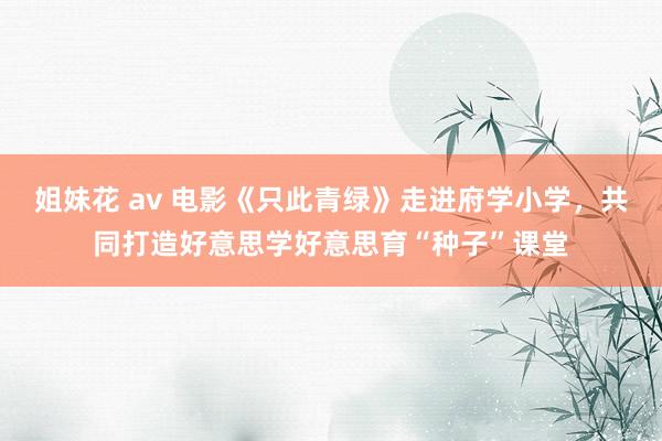 姐妹花 av 电影《只此青绿》走进府学小学，共同打造好意思学好意思育“种子”课堂