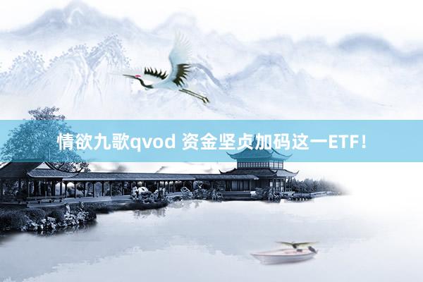 情欲九歌qvod 资金坚贞加码这一ETF！