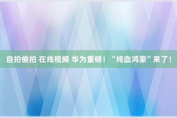 自拍偷拍 在线视频 华为重磅！“纯血鸿蒙”来了！