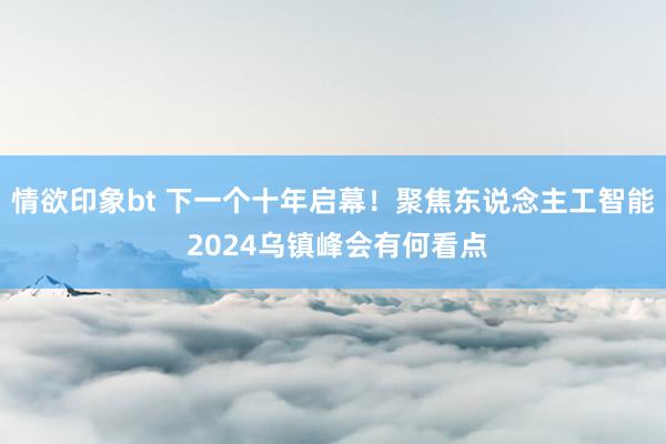 情欲印象bt 下一个十年启幕！聚焦东说念主工智能 2024乌镇峰会有何看点