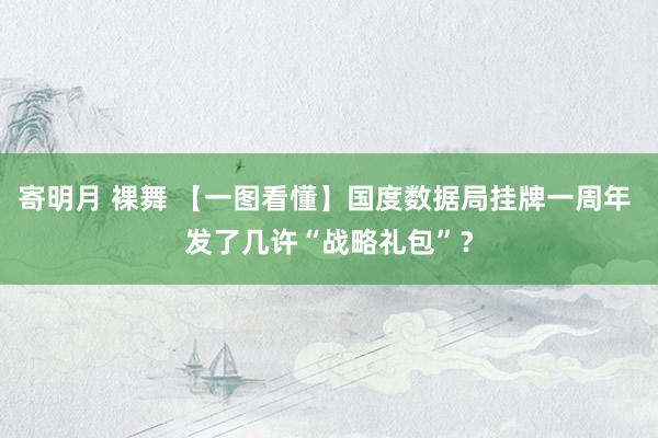 寄明月 裸舞 【一图看懂】国度数据局挂牌一周年 发了几许“战略礼包”？