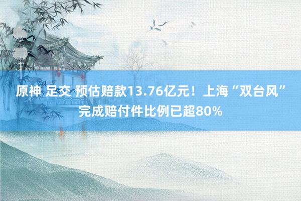 原神 足交 预估赔款13.76亿元！上海“双台风”完成赔付件比例已超80%