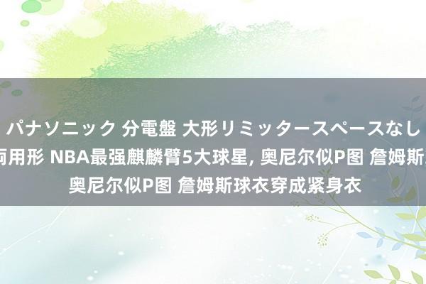 パナソニック 分電盤 大形リミッタースペースなし 露出・半埋込両用形 NBA最强麒麟臂5大球星， 奥尼尔似P图 詹姆斯球衣穿成紧身衣