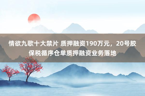 情欲九歌十大禁片 质押融资190万元，20号胶保税循序仓单质押融资业务落地