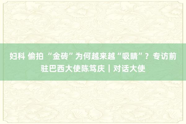 妇科 偷拍 “金砖”为何越来越“吸睛”？专访前驻巴西大使陈笃庆｜对话大使