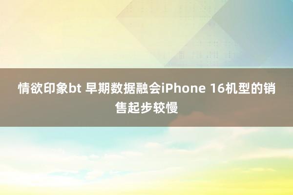 情欲印象bt 早期数据融会iPhone 16机型的销售起步较慢