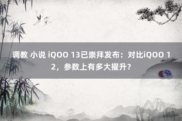 调教 小说 iQOO 13已崇拜发布：对比iQOO 12，参数上有多大擢升？