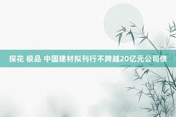 探花 极品 中国建材拟刊行不跨越20亿元公司债