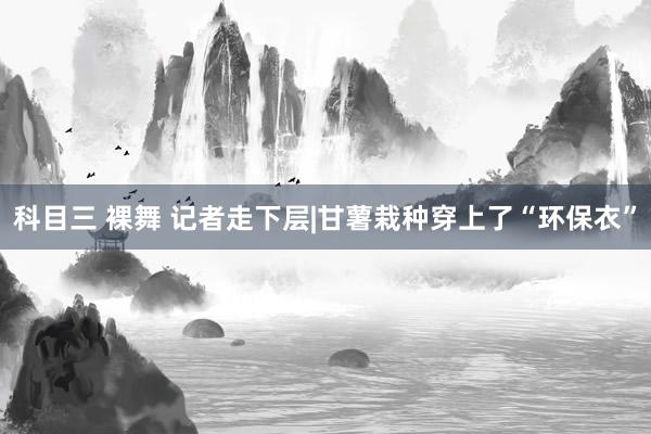 科目三 裸舞 记者走下层|甘薯栽种穿上了“环保衣”