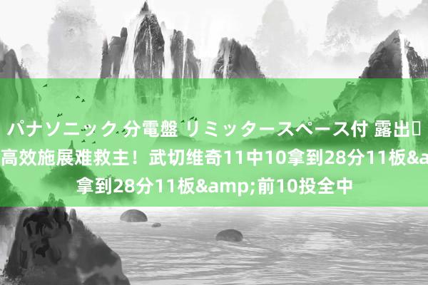 パナソニック 分電盤 リミッタースペース付 露出・半埋込両用形 超高效施展难救主！武切维奇11中10拿到28分11板&前10投全中