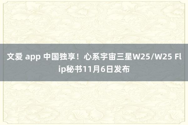 文爱 app 中国独享！心系宇宙三星W25/W25 Flip秘书11月6日发布