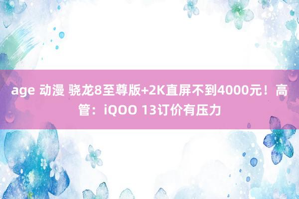 age 动漫 骁龙8至尊版+2K直屏不到4000元！高管：iQOO 13订价有压力