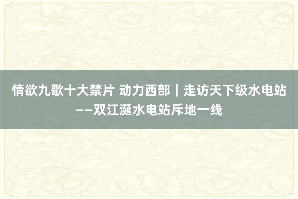 情欲九歌十大禁片 动力西部｜走访天下级水电站——双江涎水电站斥地一线