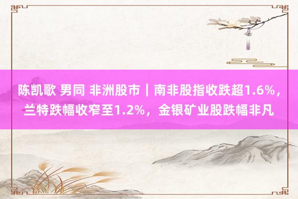 陈凯歌 男同 非洲股市｜南非股指收跌超1.6%，兰特跌幅收窄至1.2%，金银矿业股跌幅非凡