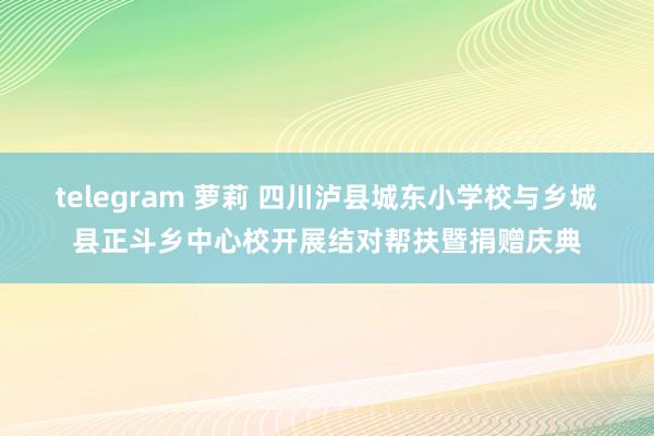 telegram 萝莉 四川泸县城东小学校与乡城县正斗乡中心校开展结对帮扶暨捐赠庆典