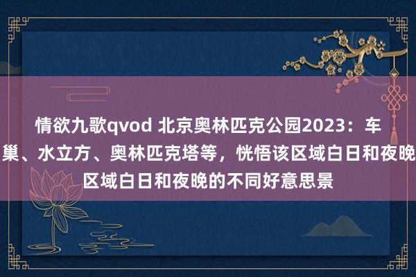 情欲九歌qvod 北京奥林匹克公园2023：车览并徒步游览鸟巢、水立方、奥林匹克塔等，恍悟该区域白日和夜晚的不同好意思景