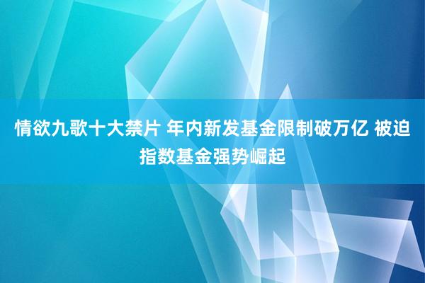 情欲九歌十大禁片 年内新发基金限制破万亿 被迫指数基金强势崛起