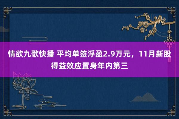 情欲九歌快播 平均单签浮盈2.9万元，11月新股得益效应置身年内第三