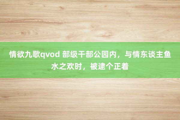 情欲九歌qvod 部级干部公园内，与情东谈主鱼水之欢时，被逮个正着