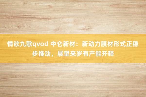 情欲九歌qvod 中仑新材：新动力膜材形式正稳步推动，展望来岁有产能开释