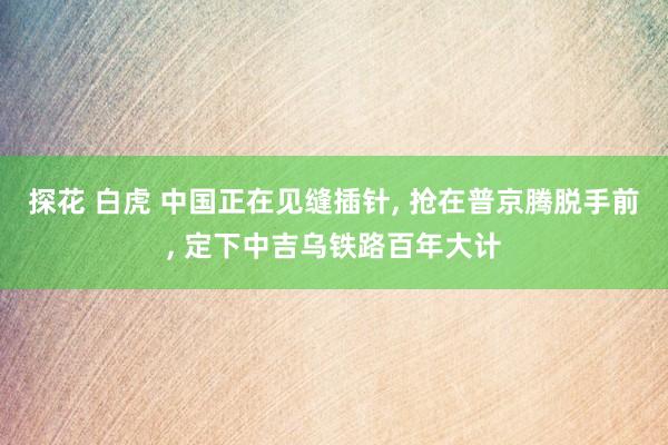 探花 白虎 中国正在见缝插针， 抢在普京腾脱手前， 定下中吉乌铁路百年大计