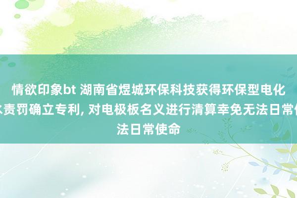 情欲印象bt 湖南省煜城环保科技获得环保型电化学水责罚确立专利， 对电极板名义进行清算幸免无法日常使命