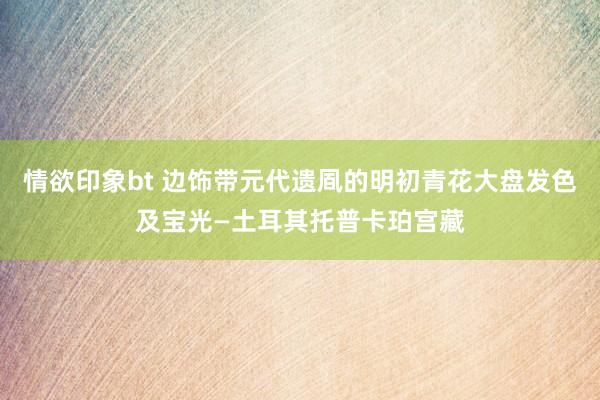 情欲印象bt 边饰带元代遗凮的明初青花大盘发色及宝光—土耳其托普卡珀宫藏