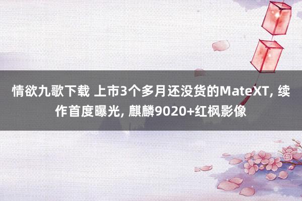 情欲九歌下载 上市3个多月还没货的MateXT， 续作首度曝光， 麒麟9020+红枫影像