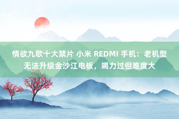 情欲九歌十大禁片 小米 REDMI 手机：老机型无法升级金沙江电板，竭力过但难度大